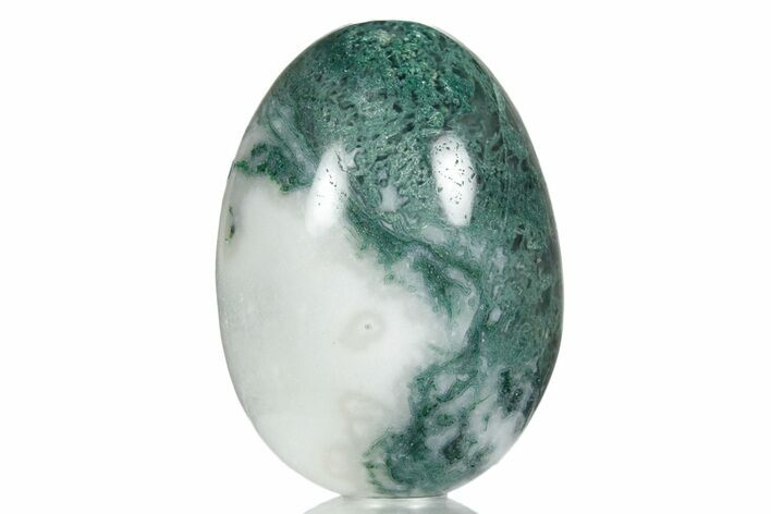 Polished Tree Agate Egg - India #356343